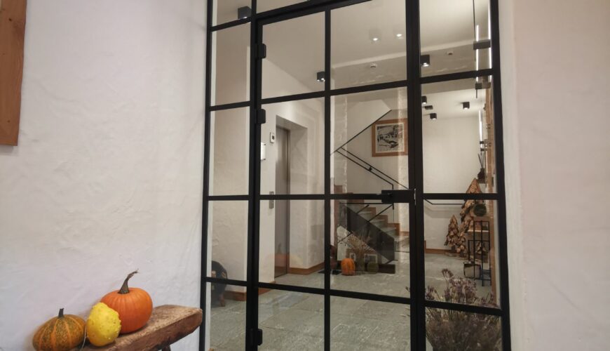 steklena stena in vrata s črnim okvirjem